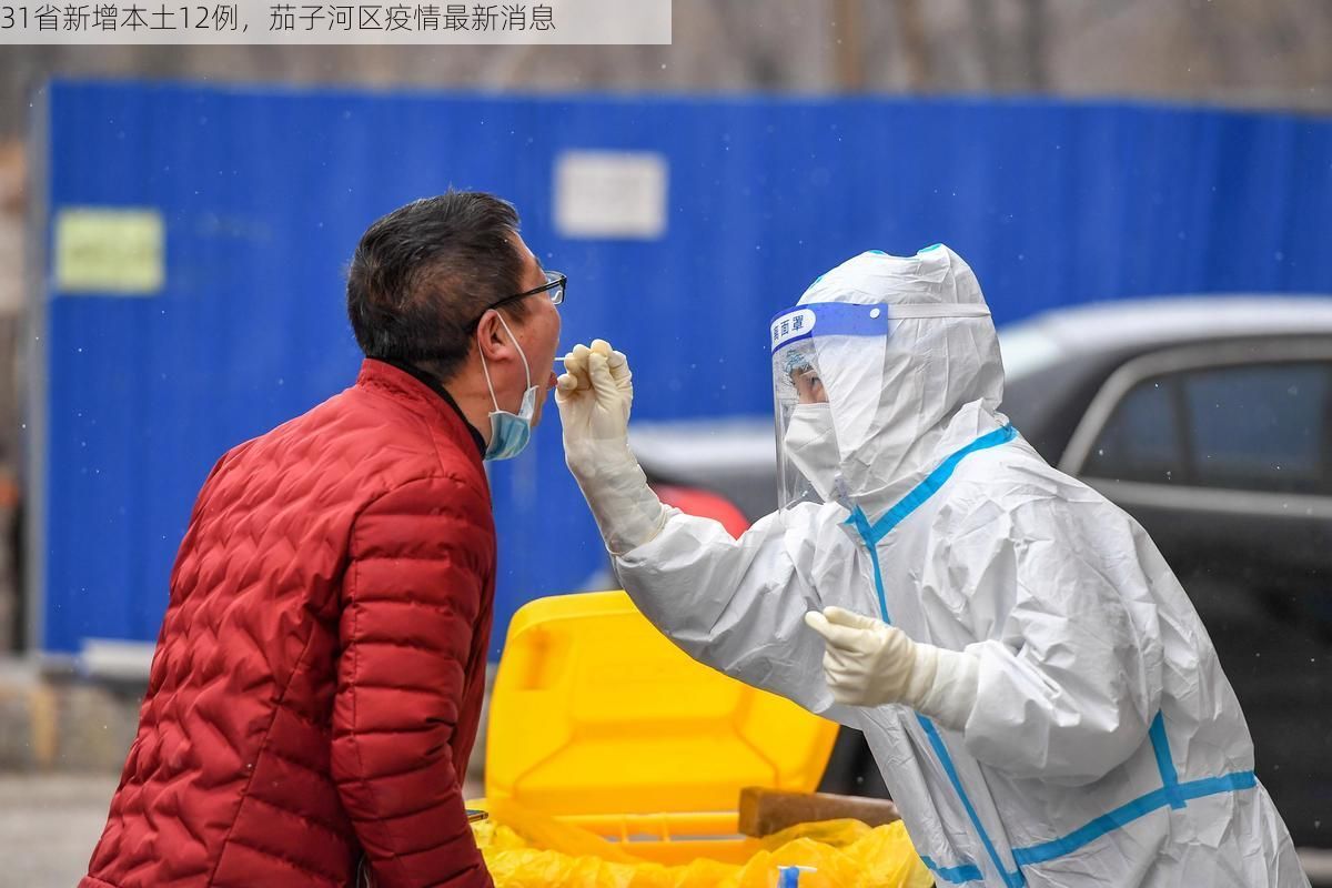 31省新增本土12例，茄子河区疫情最新消息