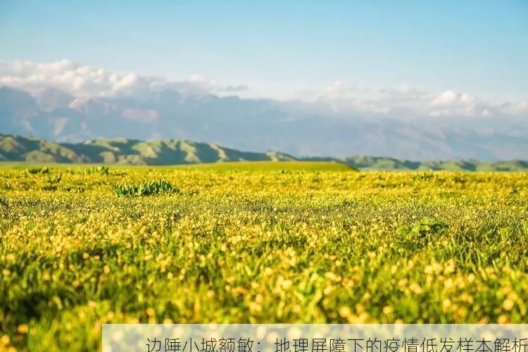 边陲小城额敏:地理屏障下的疫情低发样本解析