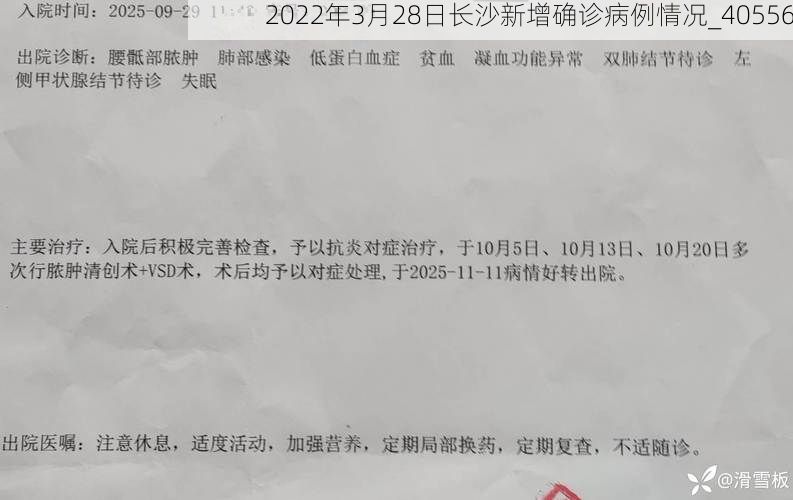 2022年3月28日长沙新增确诊病例情况_40556