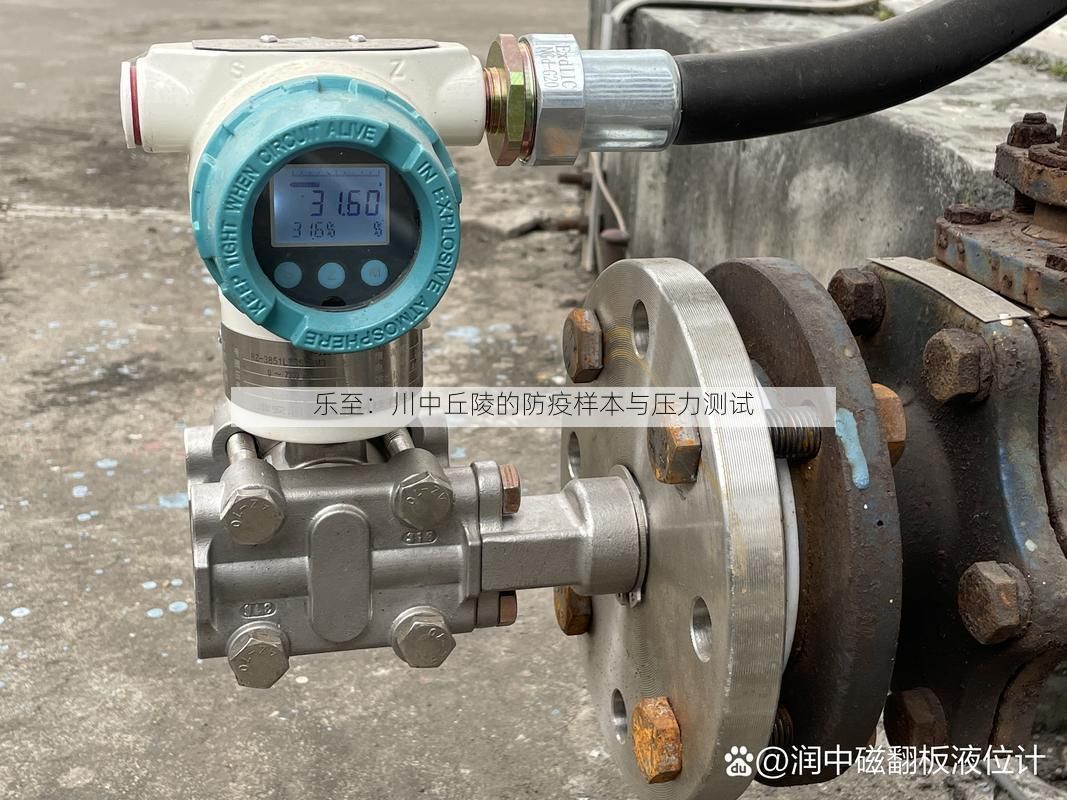 乐至:川中丘陵的防疫样本与压力测试