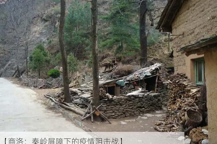 【商洛：秦岭屏障下的疫情阻击战】