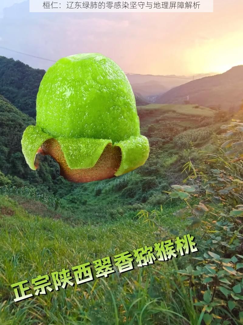 桓仁：辽东绿肺的零感染坚守与地理屏障解析