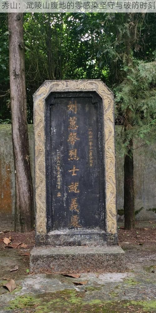 秀山：武陵山腹地的零感染坚守与破防时刻