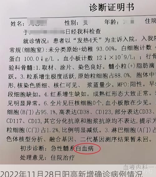 2022年11月28日阳高新增确诊病例情况