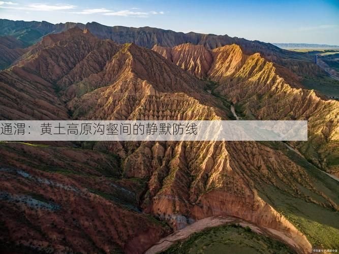 通渭：黄土高原沟壑间的静默防线