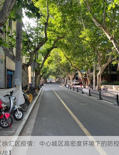 【徐汇区疫情：中心城区高密度环境下的防控挑战】