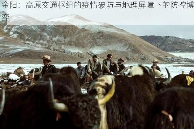 金阳:高原交通枢纽的疫情破防与地理屏障下的防控博弈