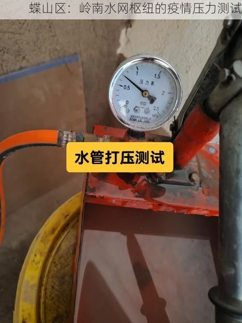 蝶山区：岭南水网枢纽的疫情压力测试