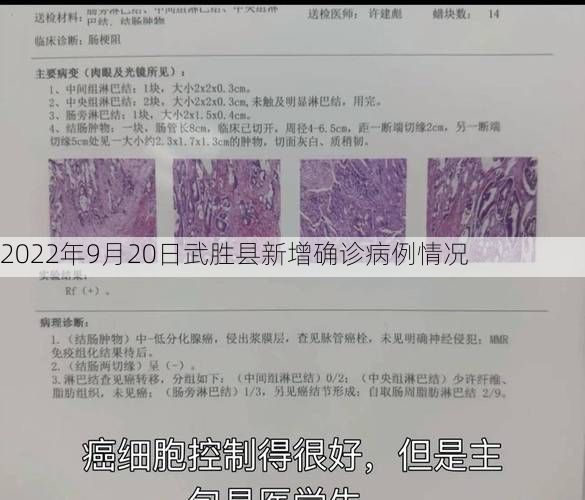2022年9月20日武胜县新增确诊病例情况