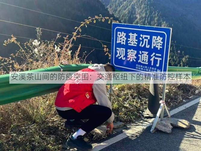 安溪茶山间的防疫突围：交通枢纽下的精准防控样本