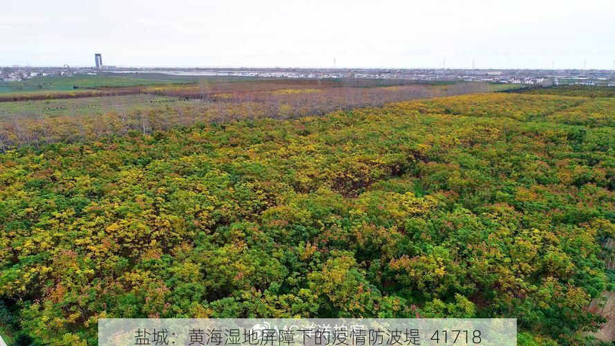 盐城：黄海湿地屏障下的疫情防波堤_41718