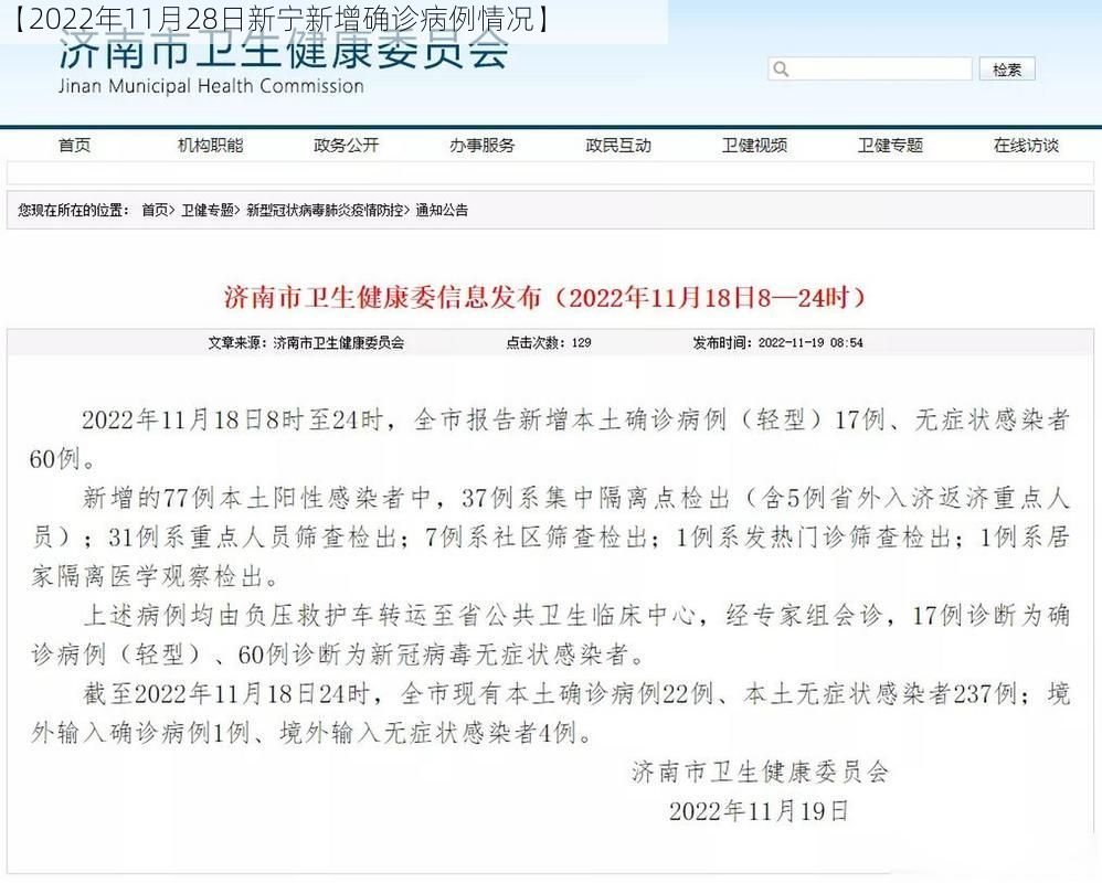 【2022年11月28日新宁新增确诊病例情况】