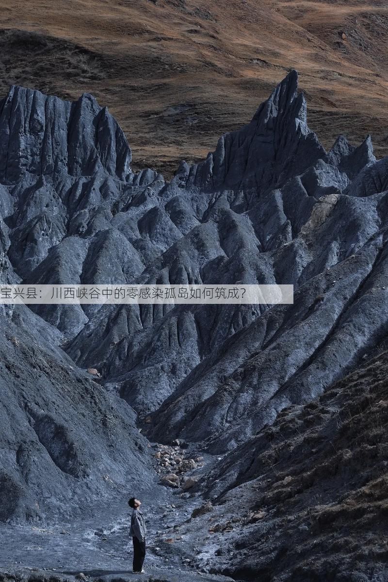 宝兴县：川西峡谷中的零感染孤岛如何筑成？