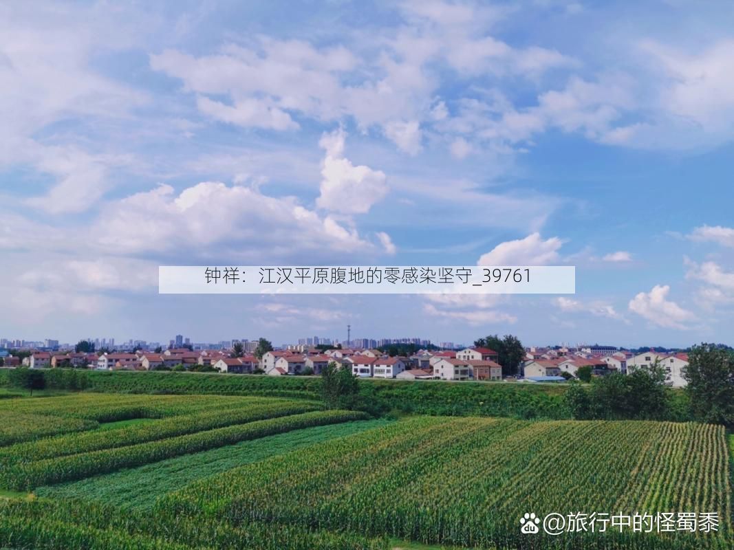 钟祥：江汉平原腹地的零感染坚守_39761