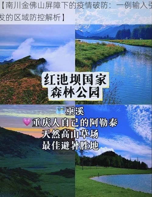 【南川金佛山屏障下的疫情破防：一例输入引发的区域防控解析】