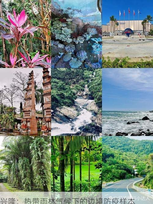 兴隆：热带雨林气候下的边境防疫样本