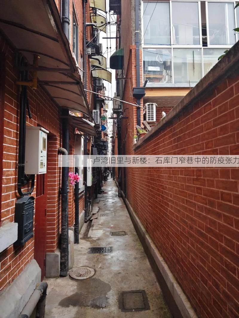 卢湾旧里与新楼：石库门窄巷中的防疫张力