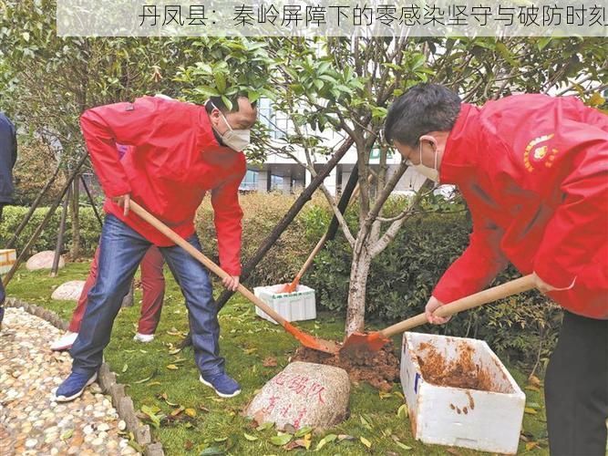 丹凤县：秦岭屏障下的零感染坚守与破防时刻