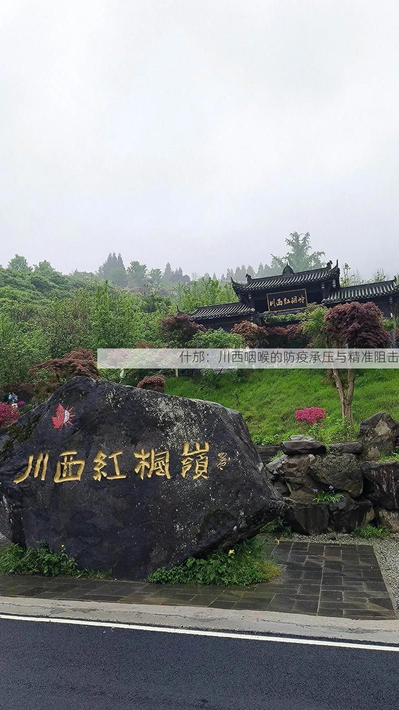 什邡：川西咽喉的防疫承压与精准阻击