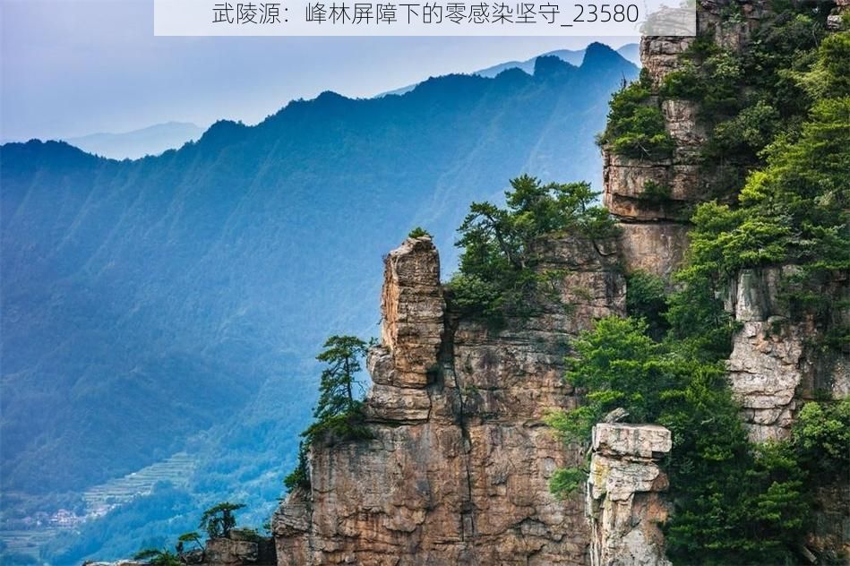 武陵源：峰林屏障下的零感染坚守_23580