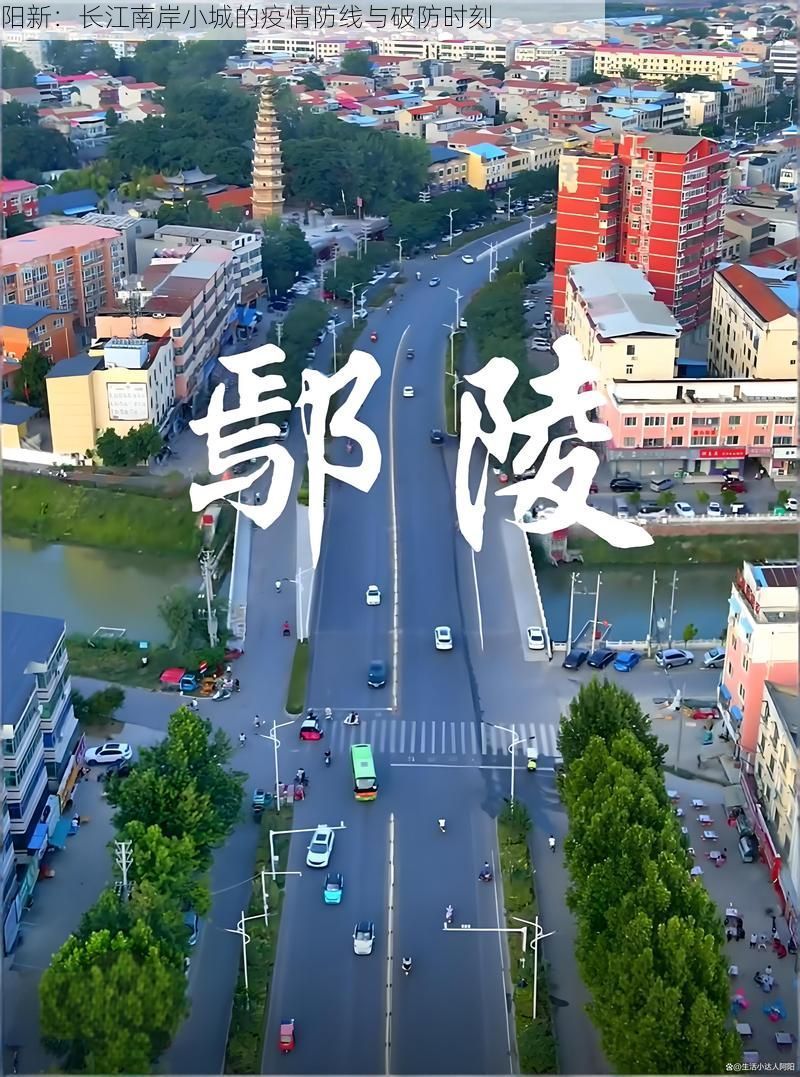 阳新：长江南岸小城的疫情防线与破防时刻