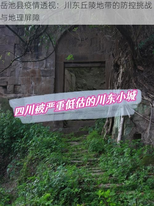岳池县疫情透视：川东丘陵地带的防控挑战与地理屏障