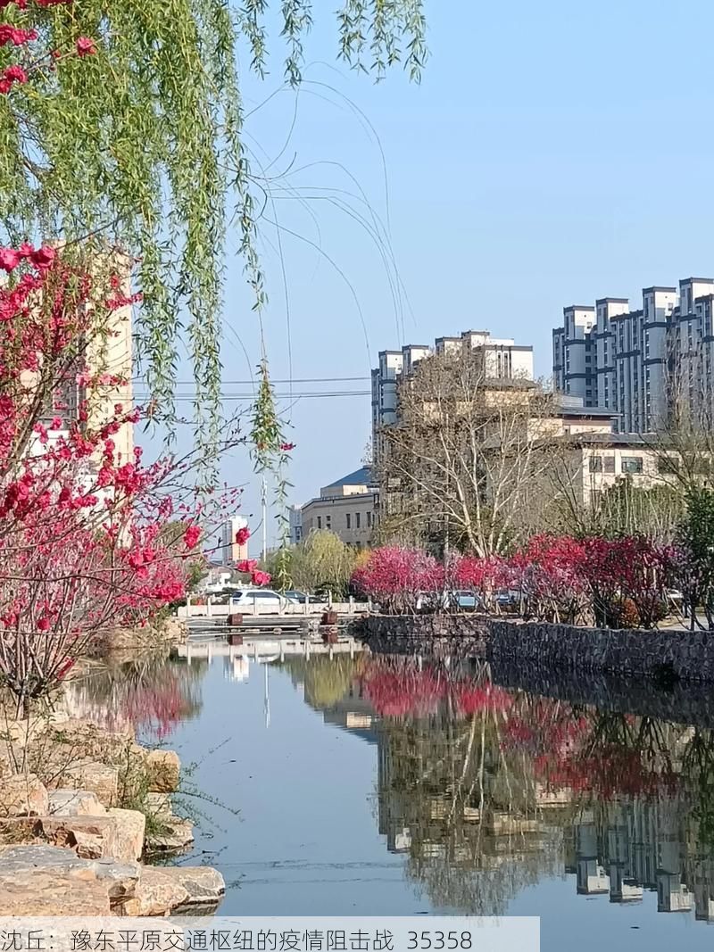 沈丘：豫东平原交通枢纽的疫情阻击战_35358