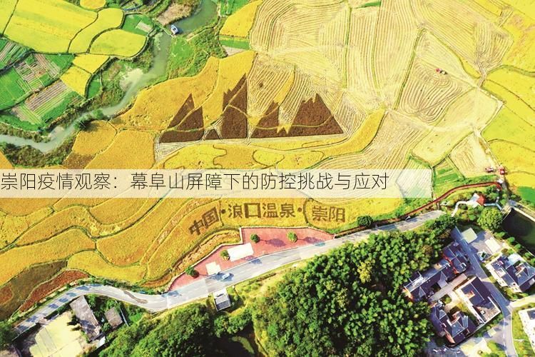 崇阳疫情观察：幕阜山屏障下的防控挑战与应对