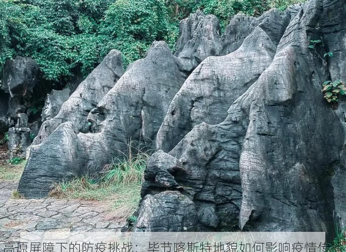 高原屏障下的防疫挑战:毕节喀斯特地貌如何影响疫情传播