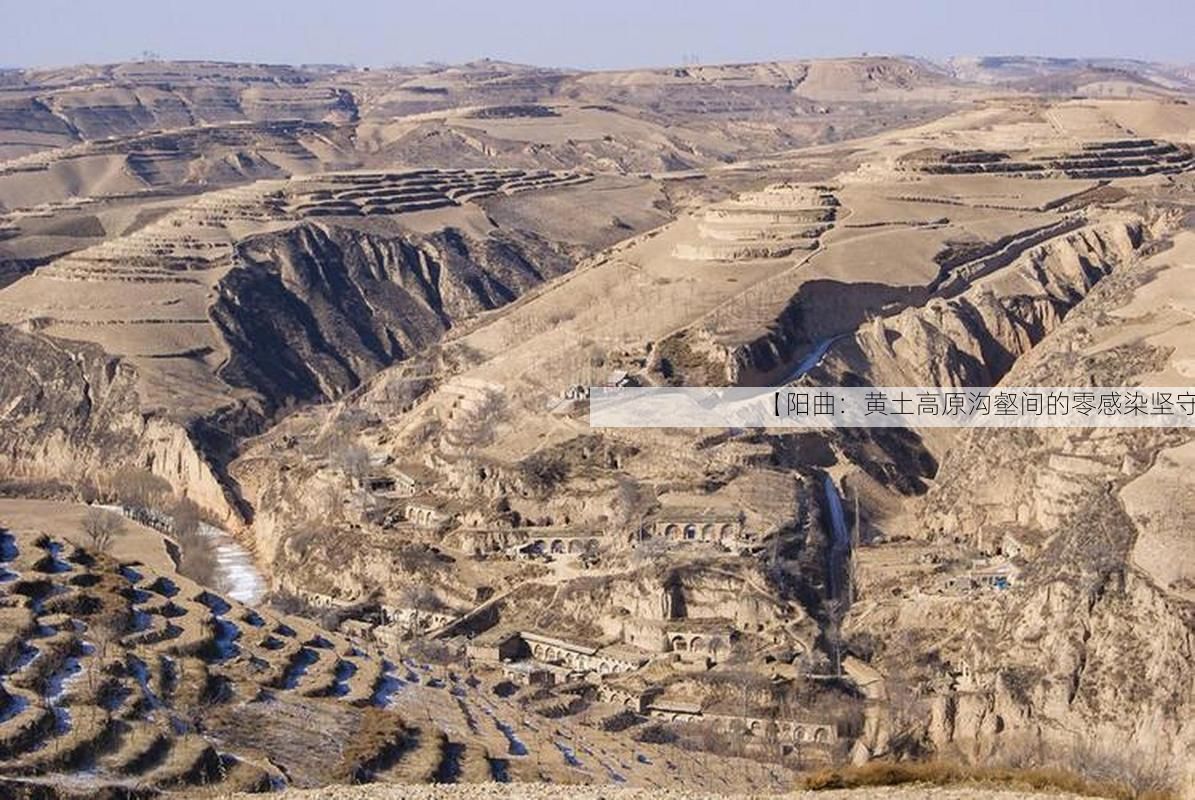 【阳曲：黄土高原沟壑间的零感染坚守】