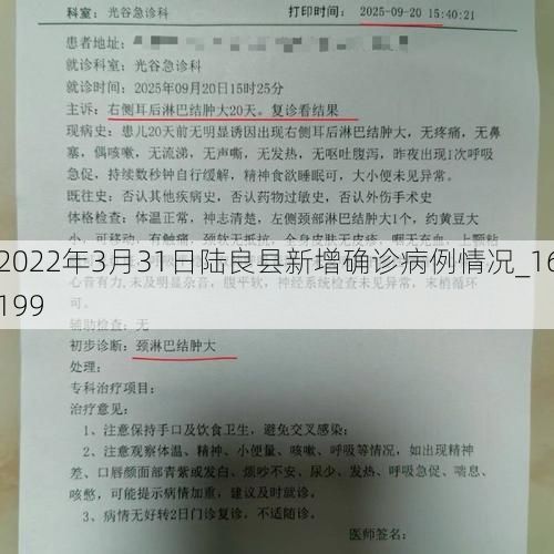 2022年3月31日陆良县新增确诊病例情况_16199