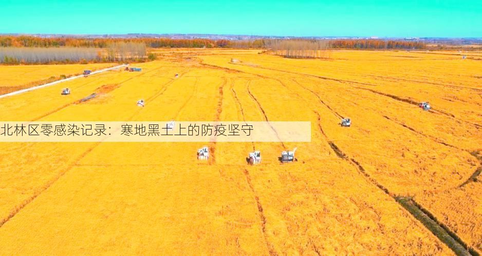 北林区零感染记录：寒地黑土上的防疫坚守
