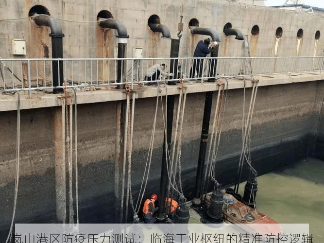 岚山港区防疫压力测试：临海工业枢纽的精准防控逻辑