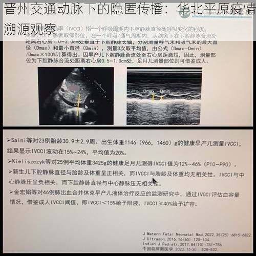 晋州交通动脉下的隐匿传播：华北平原疫情溯源观察