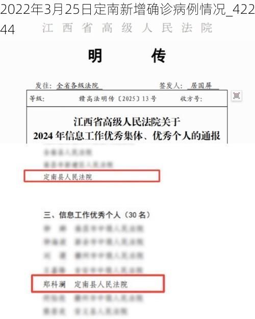2022年3月25日定南新增确诊病例情况_42244