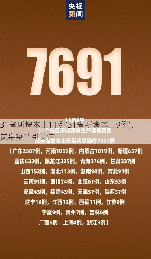 31省新增本土11例(31省新增本土9例)，岚皋疫情引关注