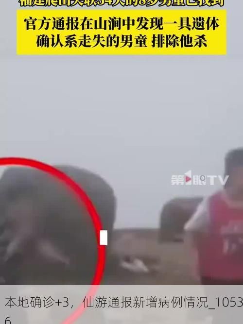 本地确诊+3，仙游通报新增病例情况_10536