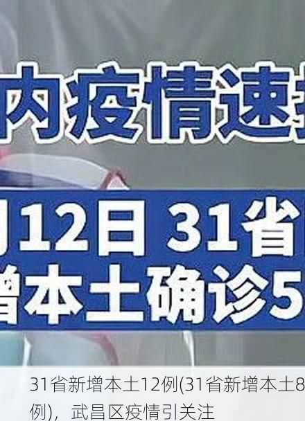 31省新增本土12例(31省新增本土8例)，武昌区疫情引关注
