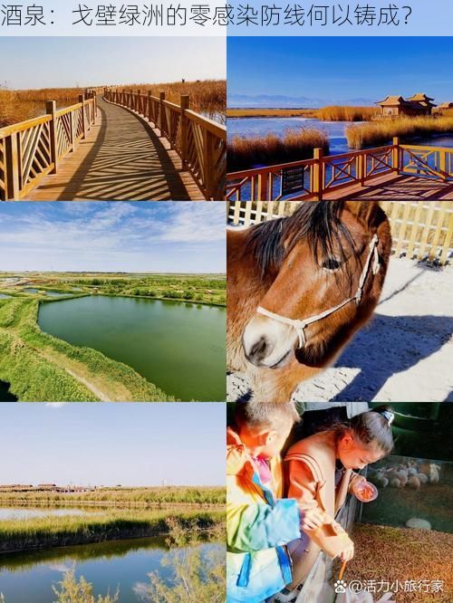 酒泉：戈壁绿洲的零感染防线何以铸成？