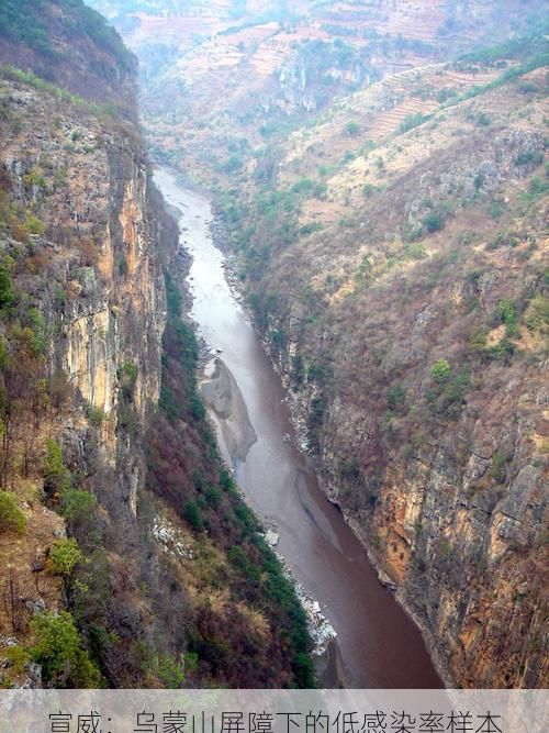 宣威：乌蒙山屏障下的低感染率样本