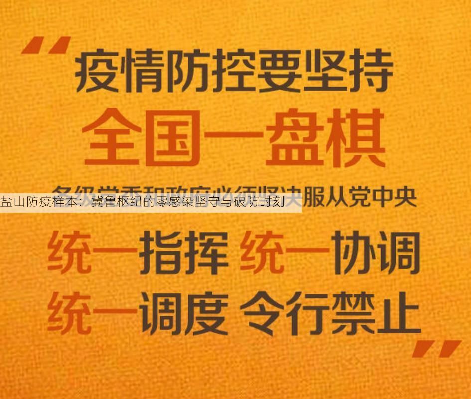 盐山防疫样本：冀鲁枢纽的零感染坚守与破防时刻