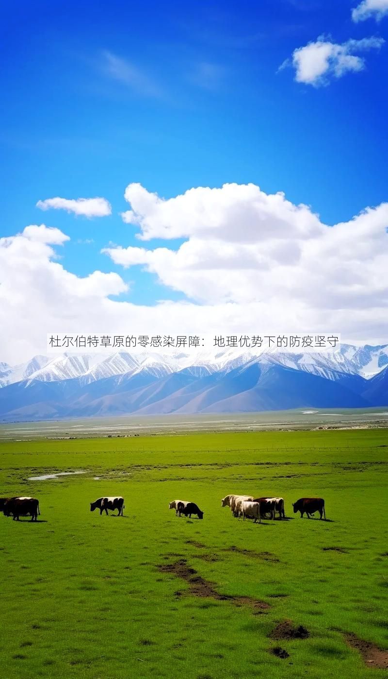 杜尔伯特草原的零感染屏障：地理优势下的防疫坚守