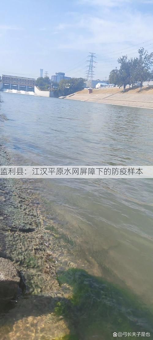 监利县：江汉平原水网屏障下的防疫样本