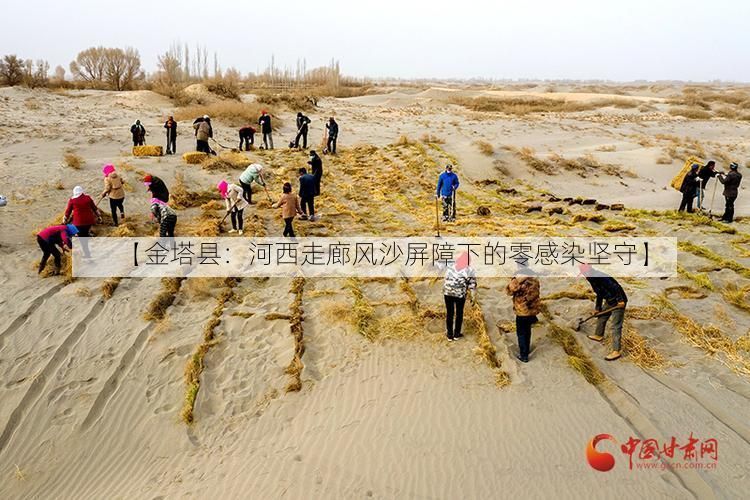 【金塔县：河西走廊风沙屏障下的零感染坚守】