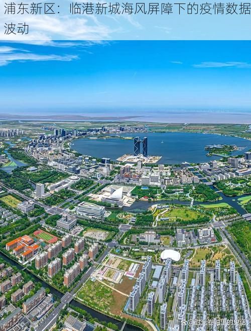 浦东新区：临港新城海风屏障下的疫情数据波动