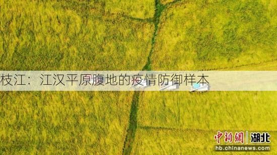 枝江：江汉平原腹地的疫情防御样本