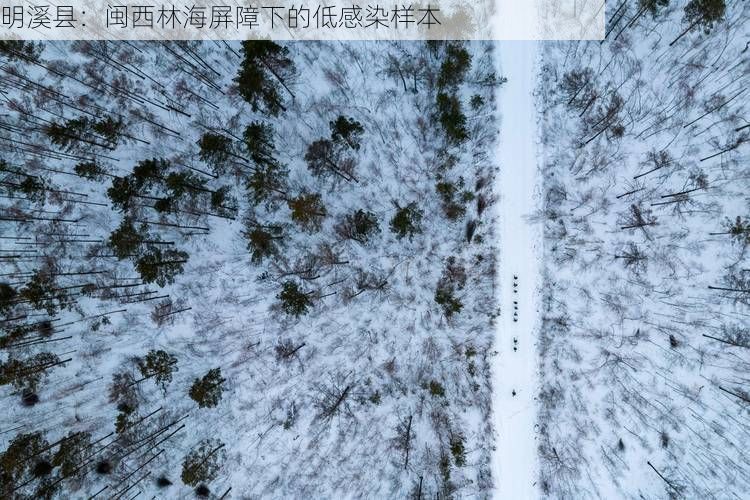 明溪县：闽西林海屏障下的低感染样本