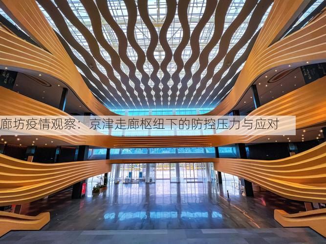 廊坊疫情观察：京津走廊枢纽下的防控压力与应对