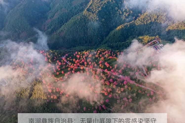 南涧彝族自治县：无量山屏障下的零感染坚守