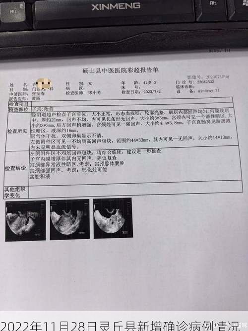 2022年11月28日灵丘县新增确诊病例情况